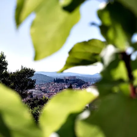 Petar Pan Apartmán *